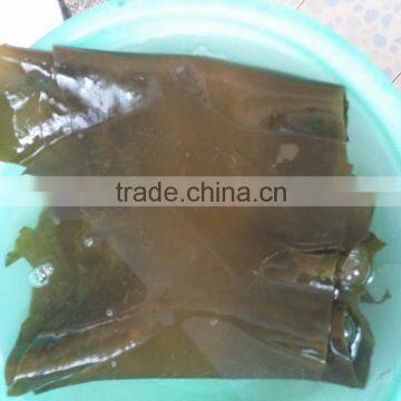 Dried Kelp Sheet, Dried Kelp Leaves to Conduct SPA Treatments in Beauty Salons photo-6