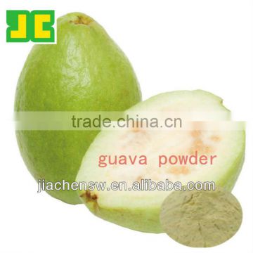 DELICIOUS FRUIT POWDER-- Guava powder 10:1