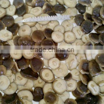 2016 crop Shiitake mushroom in brine