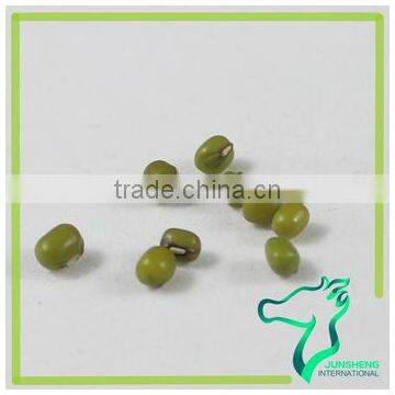 Myanmar Dried Mung Bean Best Selling photo-2