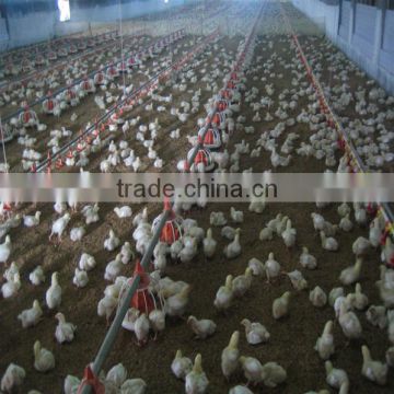 Hot selling broiler farm constrcution broiler chicken system poultry equipment