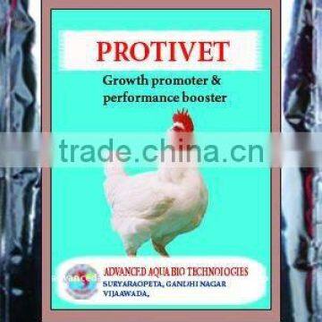 Poultry growth promoter and performance booster-PROTIVET