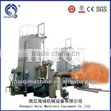 biomass gasfication and gas supply system
