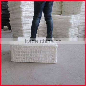 Plastic transportation crates Type and 100% PP Material broiler chicken transportation crate for poultry farm