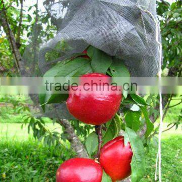 Heavy Duty Anti Predator Net/Knitted Anti Bird Netting/Fruit Cage Netting