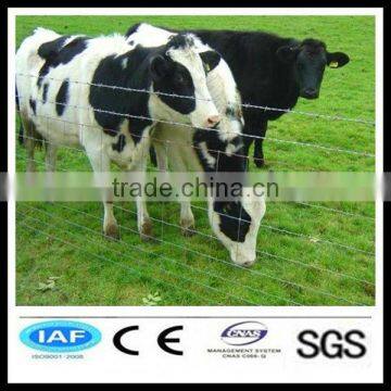 Hot Sale! High Quality Barbed Wire Cattle Fencing(ISO9001:2008 Factory)