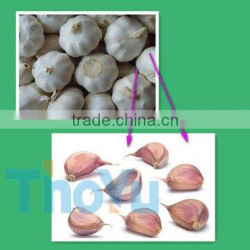 Fast speed garlic separating machine/garlic separator/garlic breaking machine