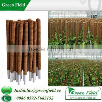 Coco Fiber Grow Pole (Coco Grow Sticks) photo-1