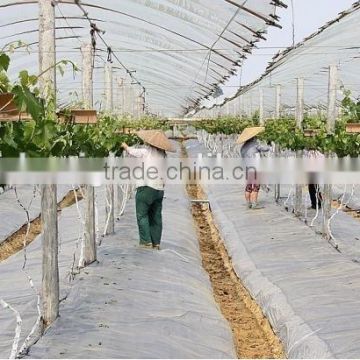 UV protect anti fog Transparent Coextruded PE Cover Film PE mulch film for grape greenhouse