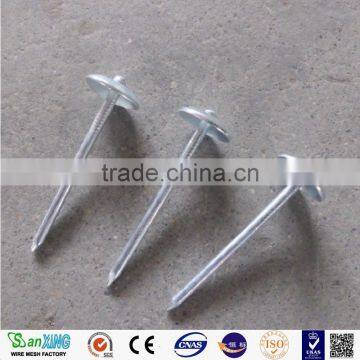 Q195 Umbrella Head Twist Shank Roofing Nails photo-2
