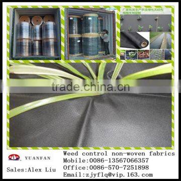 SBPP NONWOVENS FABRIC ROLL MADE IN ZHEJIANG CHINA photo-5