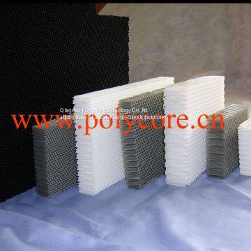 Polycarbonate Honeycomb Act as Air Filter in Commercial Refrigeration Display Showcase photo-5