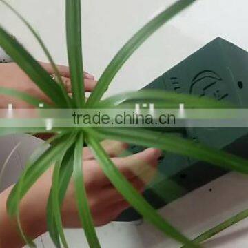 Aspac Wet Floral Foam Wholesale photo-5