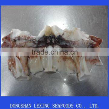 frozen giant squid neck