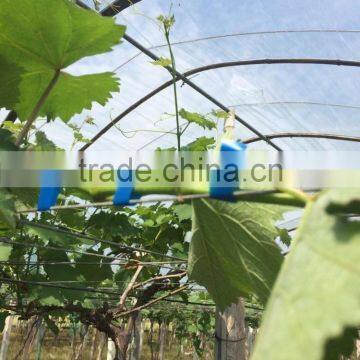 Tape Binder Tape Tool no Scrap,hand Tying Machine,wire Galvanized, Wireless Vineyard, Vineyard