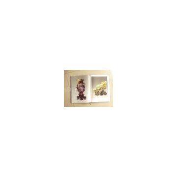 High Fidelity Product Catalog Full Color Brochure Printing Services For Promotion