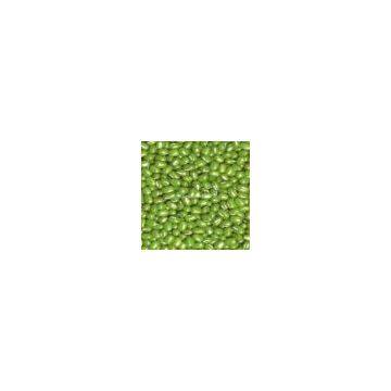 Green Beans
