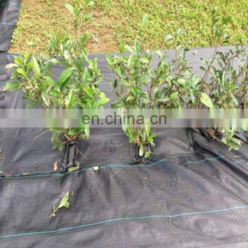 anti UV 110gsm plant ground cover