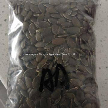 GWS Pumpkin Seed Kernels photo-2