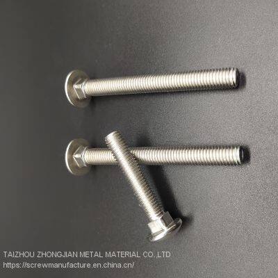 Stainless Steel Carriage Bolt M5*35