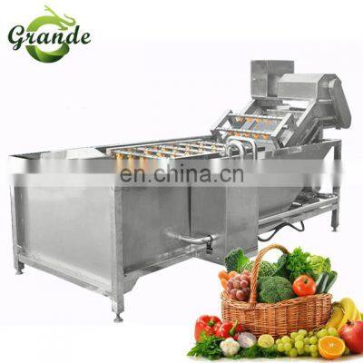 500kg/h Industrial Automatic Fruit Washer Dryer Vegetable Washing Machine Basil Bubble Washing Machine photo-2