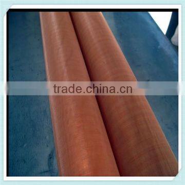 brass wire mesh/ phosphor bronze wire mesh