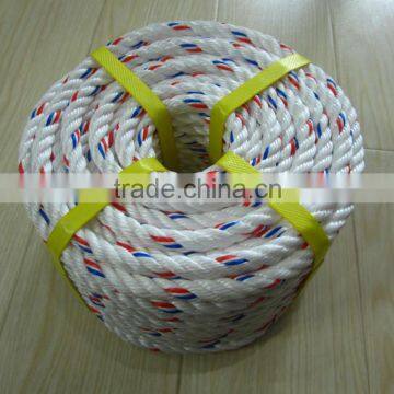 PP Danline Rope