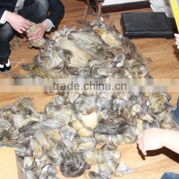 virgin gray remy hair 100% raw natural hair gray human hair bulk extensions