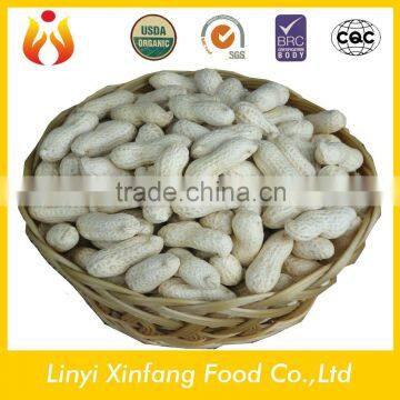 chinese best selling products new roasted salted peanuts in shell price