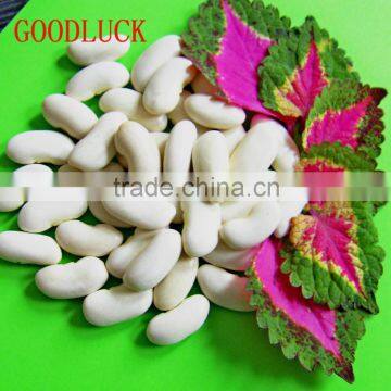 New Crop Dry White Kidney Beans For Sale