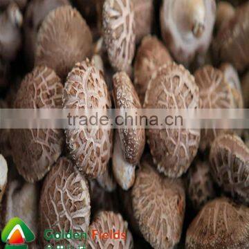 the Most Competitive Market Prices for Shiitake Mushroom photo-3