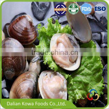 Frozen Supermarket Whole Cooked Short-necked Clam