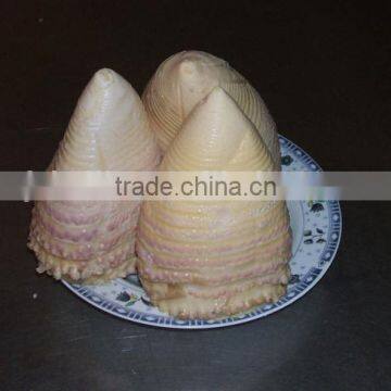 Canned Water Bamboo Shoot 2950gram N.W photo-2