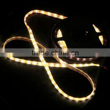 IP65 Waterproof LED Strip SMD 5050 Cool White or Warm White