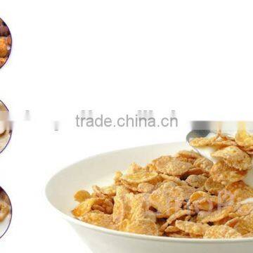High Quality Breakfast Flavoring Machine/Breakfast Flavoring Machine/Corn Flakes Flavouring Machine photo-5