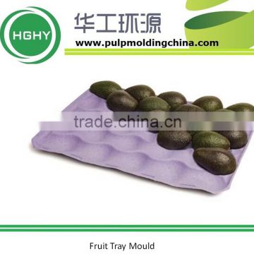 Fruit tray mold paper egg box mould aluminum pulp egg carton egg tray mould