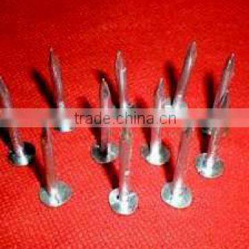 big head galvanized clout nails