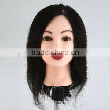 Top selling products 2013 quality mannequin heads in stock in Qingdao Factory