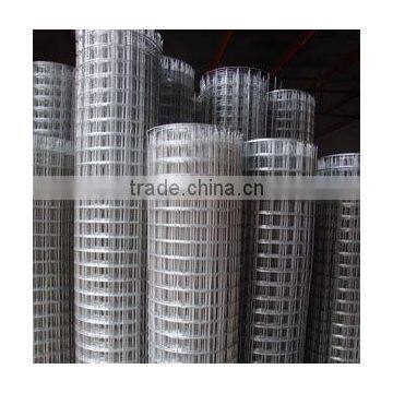 Welded Wire Mesh photo-2