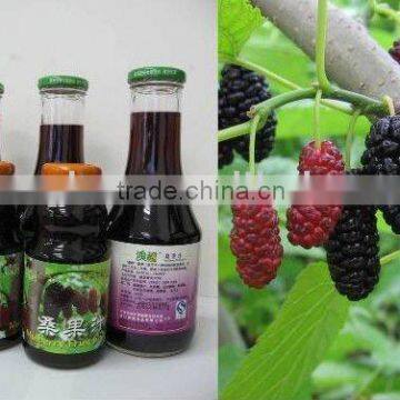 250ml /80Z fruit bottle glass packaging bottle with screw cap