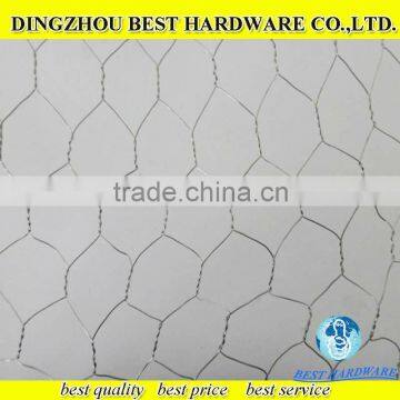 electro galvanzied hexagonal wire mesh for chicken
