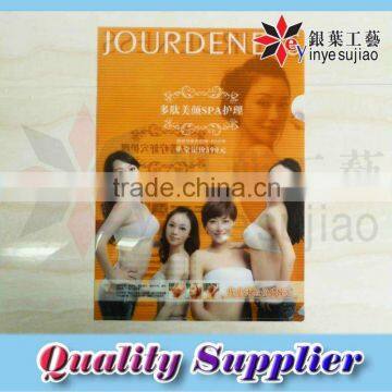 Office Stationery Printed Plastic PP File Folder