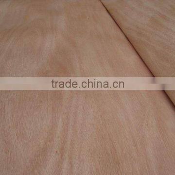 Natural Peeling Cut Bintangor Wood Veneer