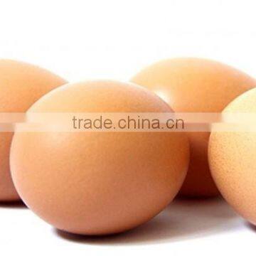 BROWN CHICKEN EGGS