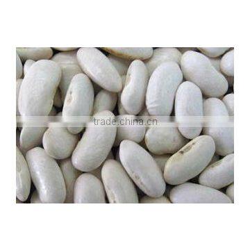 Kirgiz Origin Kidney Beans