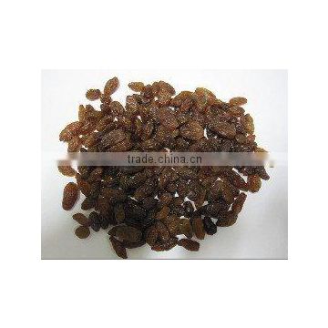 Sultana Raisin