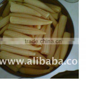 Canned baby corn in brine