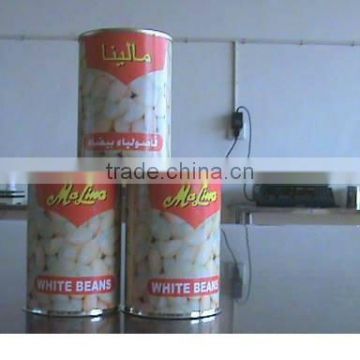 canned white kidney bean