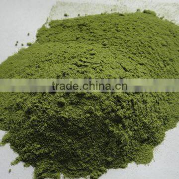 2013 dried broccoli powder