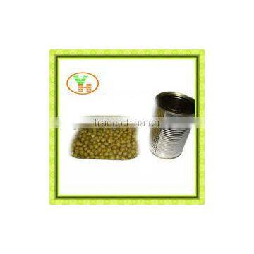 400g Canned Fava Beans Manufacturer in China photo-3